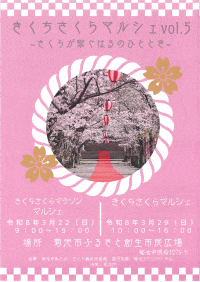 菊池さくらまつり