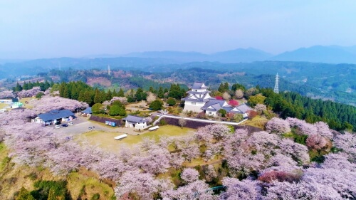 天ケ城開門さくらまつり