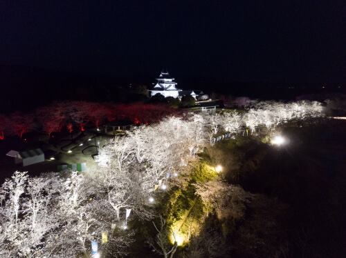 天ケ城開門さくらまつり