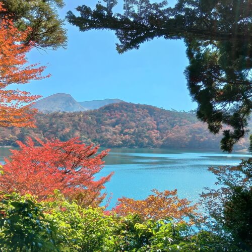 えびの高原 紅葉