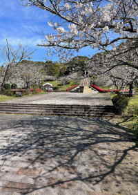 久峰総合公園の桜