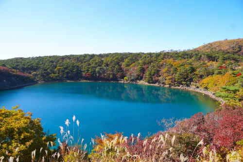 えびの高原 紅葉