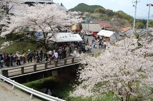 中尾山 桜陶祭