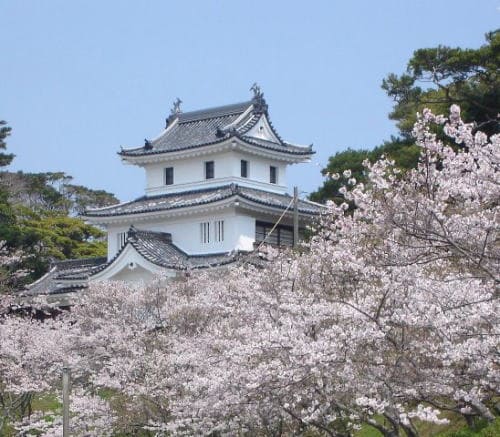 平戸城桜まつり