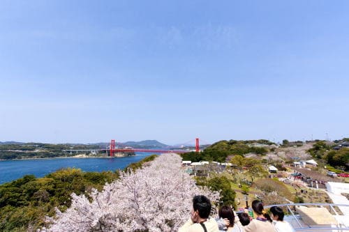 田平公園さくらまつり