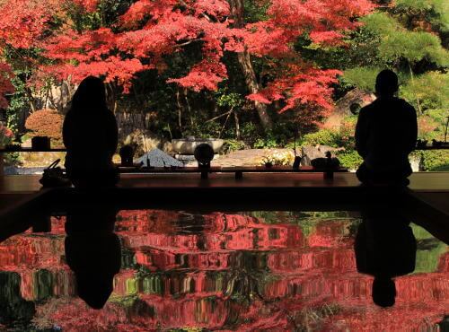 寿福寺「逆さ紅葉」