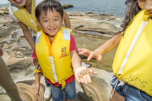 シーカヤック体験