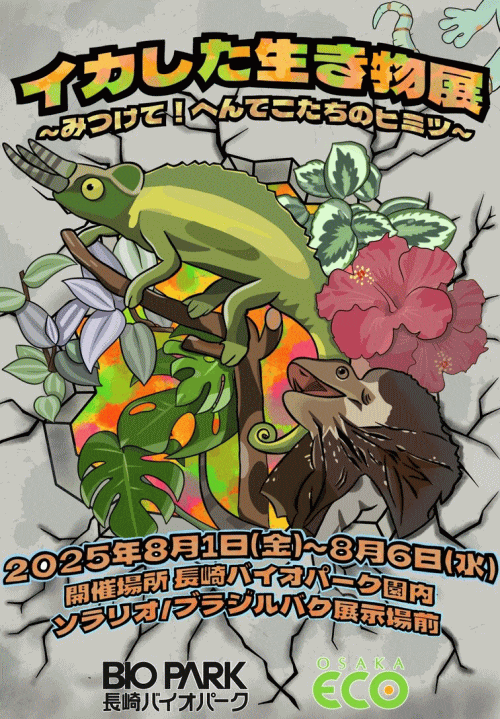 夏の共催企画展「イカした生き物展～みつけて！へんてこたちのヒミツ～」