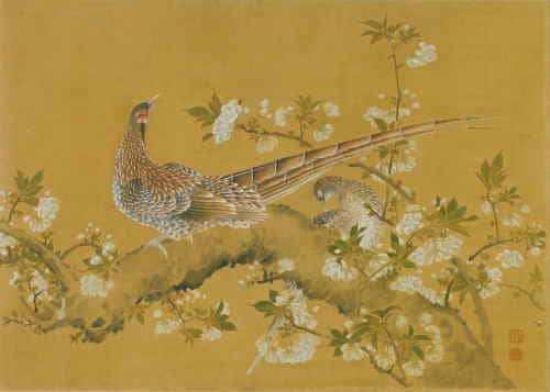 荒木寛畝《桜に山鳥図額》
