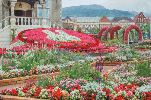 ハウステンボス ミッフィーのフラワーブルームガーデン