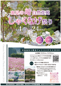 裏見の滝自然花苑 しゃくなげ祭り