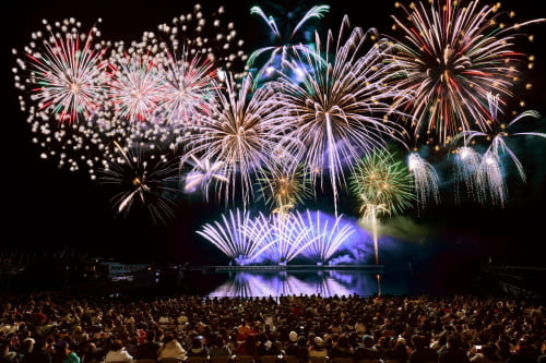 パノラマ・スカイ花火