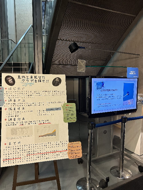 水族館で自由研究をやってみよう！