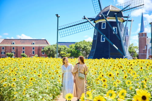 ハウステンボス ヒマワリセレブレーション