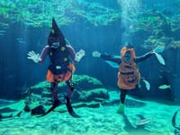 九十九島水族館海きらら ハロウィン仮装ダイバー
