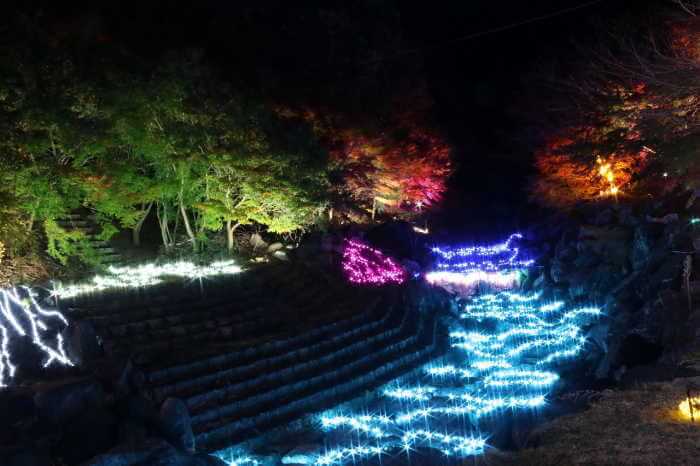 八面山もみじライトアップ 大分のイベント 祭り ふくおかサポートねっと 八面山もみじライトアップ 大分のイベント 祭り ふくおかサポートねっと