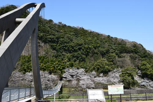 鷹栖つり橋公園"