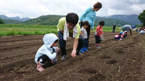 クロダマル　種まき体験