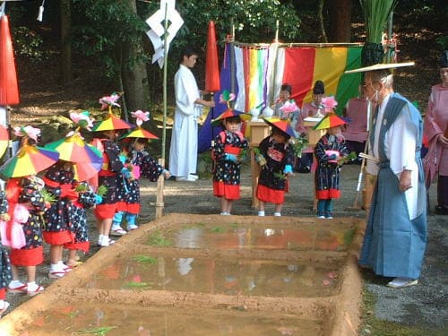 宇佐神宮　御田植祭