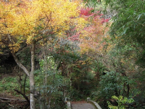 白馬渓の紅葉