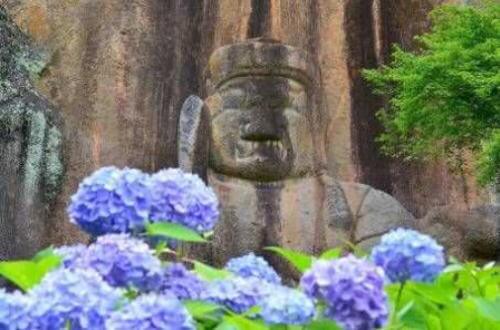普光寺のアジサイ