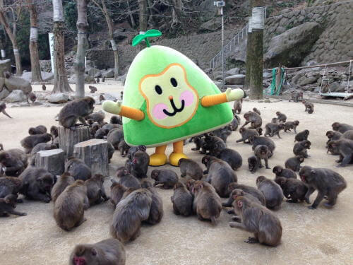 高崎山自然動物園のサル