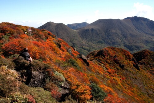 くじゅう連山の紅葉
