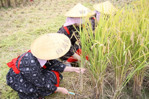 田染荘収穫祭