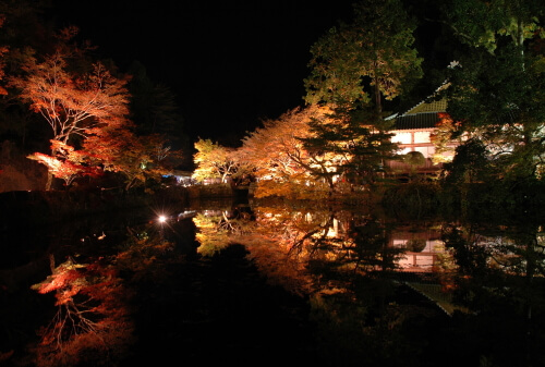 宝生寺のライトアップ