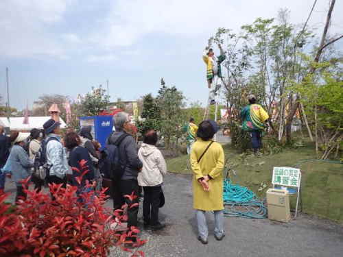おおいた人とみどりふれあいいち会場