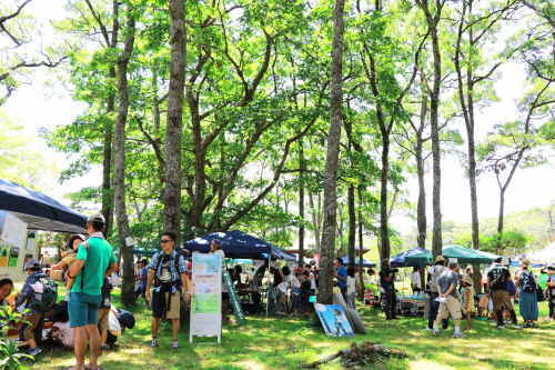 くじゅうフェス