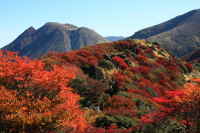 くじゅう連山の紅葉