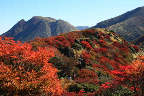 くじゅう連山の紅葉