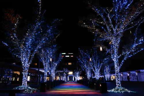 おおいた光のファンタジー