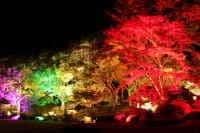 紅葉の溪石園