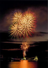 豊後二見ヶ浦ライトアップ＆ニューイヤー花火