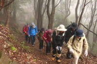 八面山修験の道登山