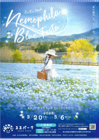 るるパーク ネモフィラブルーフェスタ