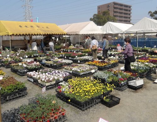 おおいた人とみどりふれあいいち会場