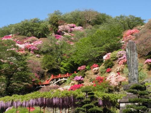 祐徳稲荷神社のツツジ