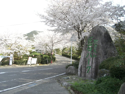 巨石パークの桜