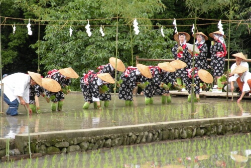 祐徳稲荷神社お田植え祭