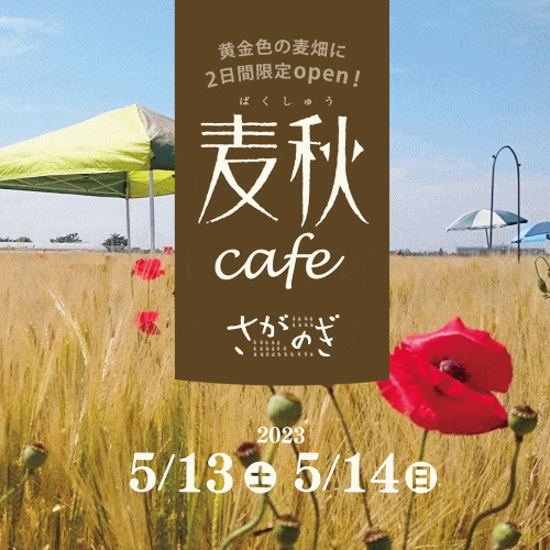 麦秋cafe