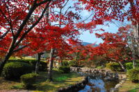 西渓公園の紅葉