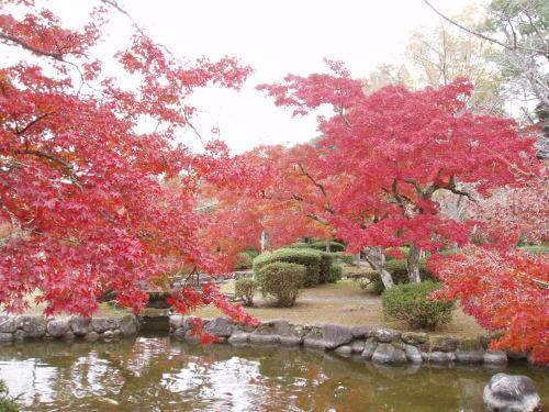 西渓公園の紅葉