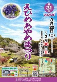 第31回えひめあやめまつり