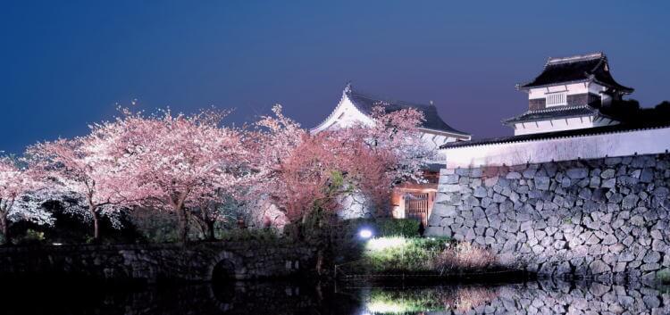 スマホ用 福岡城跡の夜桜