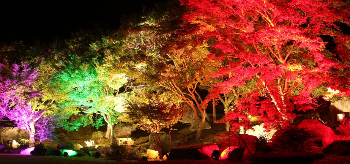 溪石園ライトアップ