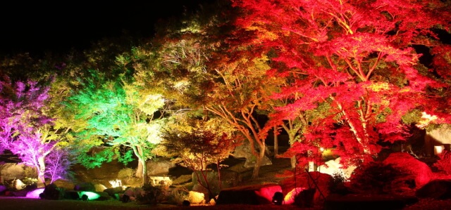 溪石園ライトアップ