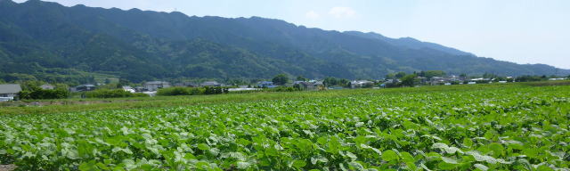 風鈴